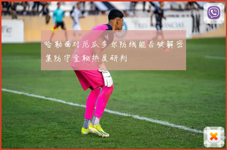 哈勒面对厄瓜多尔防线能否破解密集防守金靴热度研判